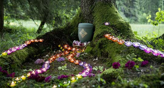 Erdbestattung - Fam. Graue Bestattungen führt naturverbundene Waldbestattungen für Sie durch.